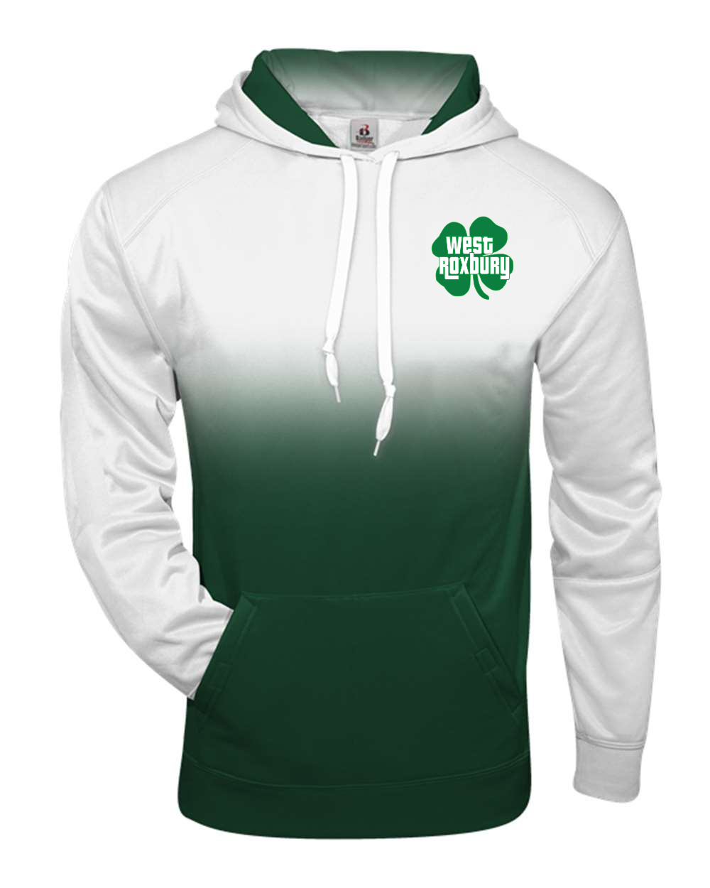 Ombré ☘️ hoodie - Adult